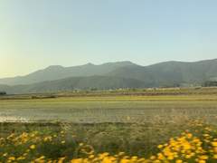 여름은 지나가는 계절일 뿐인가요