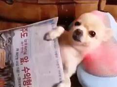 악인 18명의 문단속 7 탈덕한 머글의 입덕 정거장 (1)