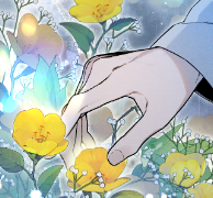 밤에 피는 꽃 3SET