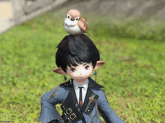 리필라 트리필라 (Riphylla Triphylla) - 잔대