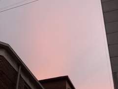 죽음을 원하는 마녀 1화