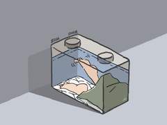 블록다이어리 #036