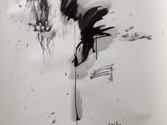 파괴적 에고이스트