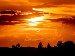 이 하을 異 霞疑 | 18 | XX