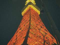 지구가 멸망해도 해야 하는 사랑이 있다