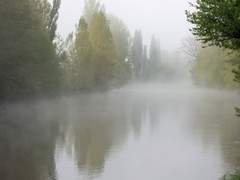 V가 사는 신기루