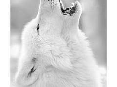 우리에게 영원은 없었던걸까.