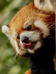 [규부] 내 망할 X의 파트너