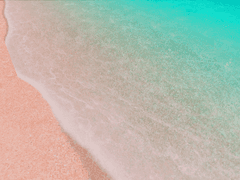 6.3 24인 레이드 배경