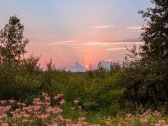 이지민 18 XX 2학년