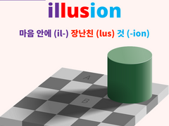 illusion