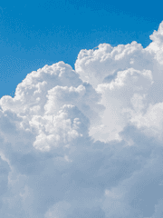 소원을 말해봐!