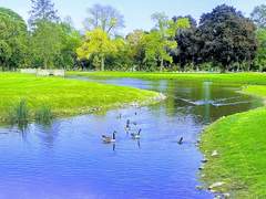 설린사영｜금실 좋은 부부가 될 것이라 예상했다.