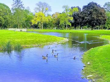 설린사영｜금실 좋은 부부가 될 것이라 예상했다.