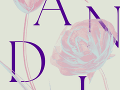 [첼시엘] LANDIN’