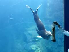 오사카 여행 사진