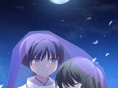 전해진 안개꽃 🪻