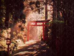 劍过之处開花落月