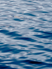 푸른 바다의 윤