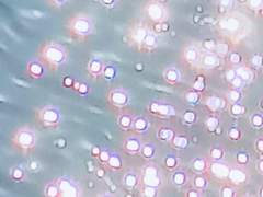 파도가 쓸고 간 자리에는 무엇이 남는가.