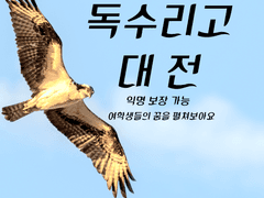 체육쌤이랑 영어쌤 또 붙어 있냐