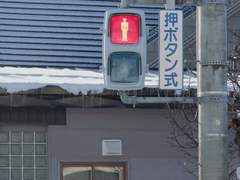 もしかしたら そうなのかしら