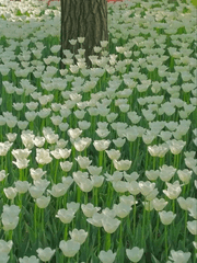 자존감/멘탈 문제해결