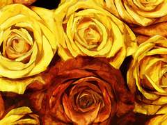 노란 장미의 꽃말은,