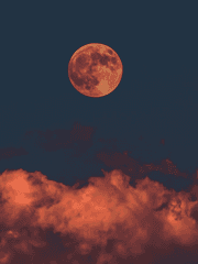 밤에 뜬 달의 그림자