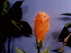 태초에 그들이 있었다 01