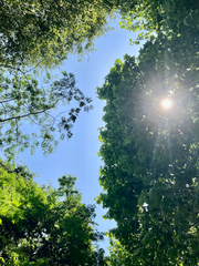 사랑이 시작되는 순간