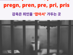 prehend, prehens, pregn, pren, pre, pri, pris