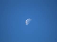 그걸로 충분하다고 생각했어