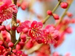 연결될 수 없는 추억 _ 1