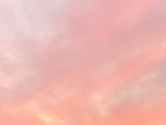 [DC] 뱃가의 박쥐