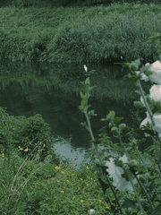 짧고 간결한 글.