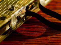 웨슬리 윌터 화이트/19/XY