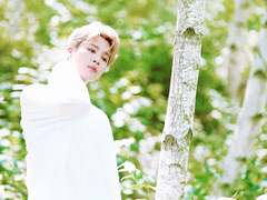 일곱지파이야기(하)