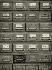 빌려 온 고양이