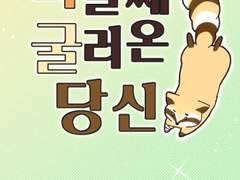 [따옴] 너굴째 굴러온 당신