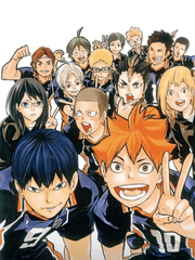 하이큐 장편문답(타장있음)