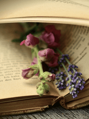 [프리드리히 인문철학총서] 10. 기분 좋은 삶을 위한 즐거운 지식