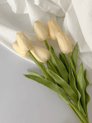 서로가서로에게 닿길