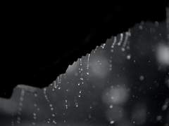 [도기고은] 오늘 비가 온대서 많이 온다고 해서, 알려주고 싶었어. 그냥 비가 온다고