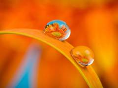 보아 썰 백업 1 (22년도)