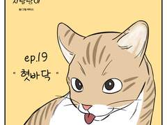🐱우리집 지랄냥이 : 19화🐱