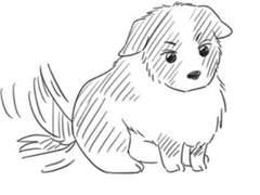 이누키타와 인간 이명헌의 시간