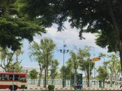 [Greeny] 7/1 | 새로운 시작