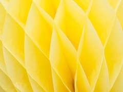 노란색의 나방, 나비, 짐승