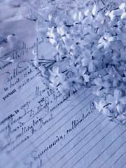 𝐁𝐚𝐬𝐢𝐜 𝐈𝐧𝐟𝐨𝐫𝐦𝐚𝐭𝐢𝐨𝐧